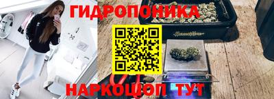 гидра Комсомольск-на-Амуре